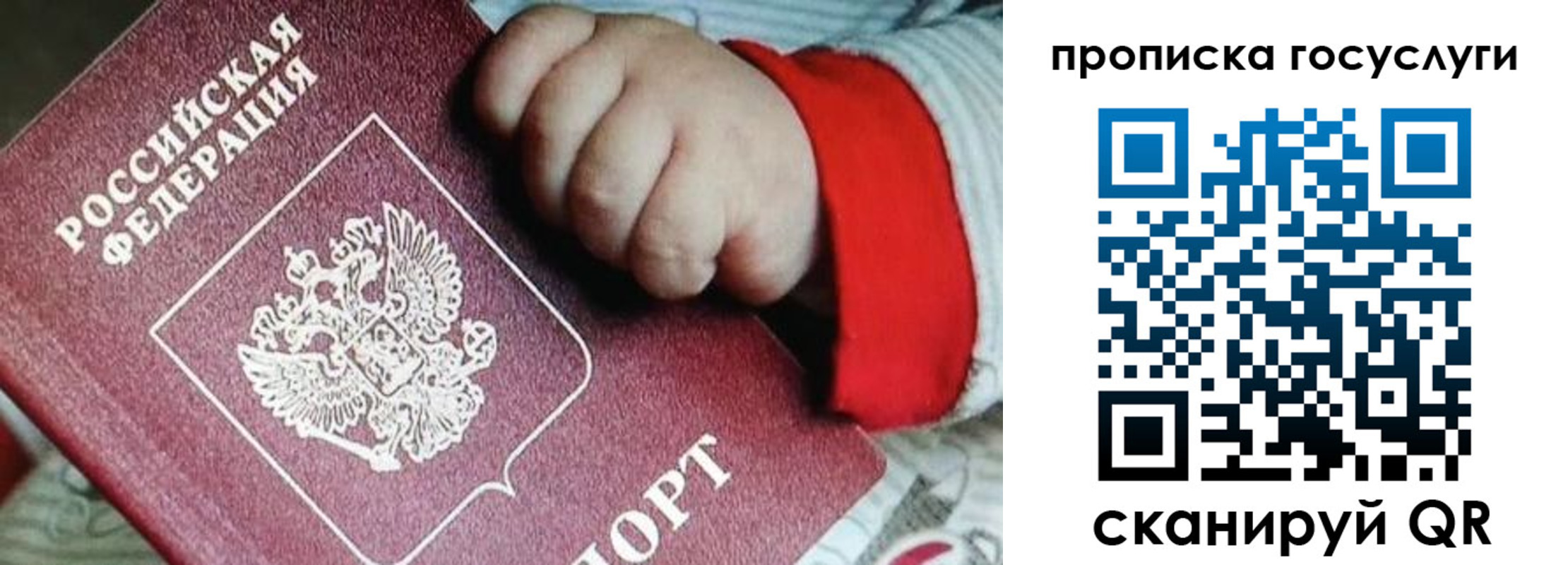 прописка штамп в Няндоме
